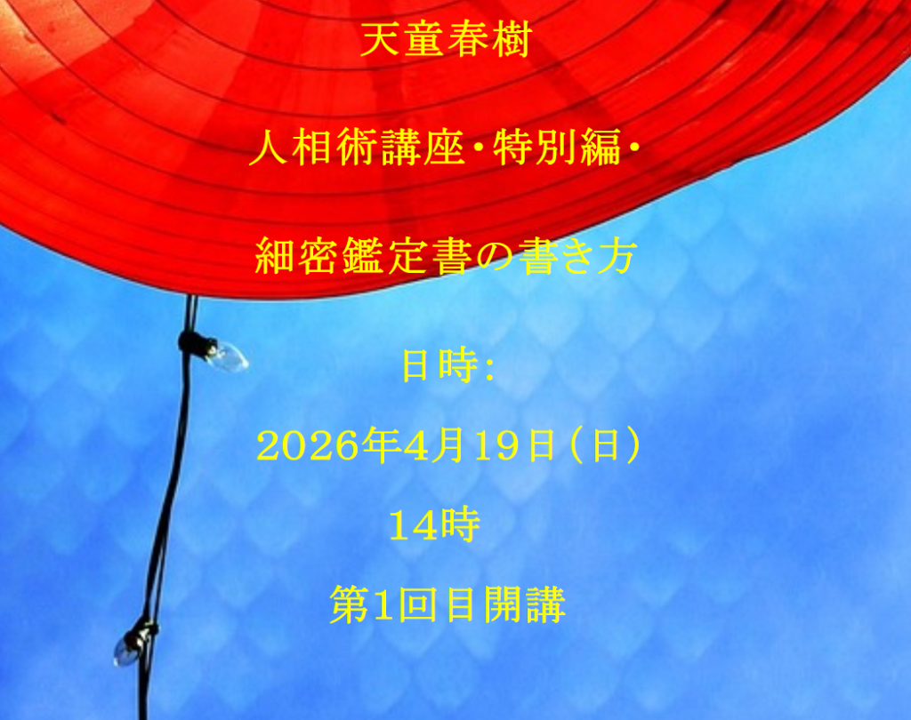 天童　鑑定書　中司